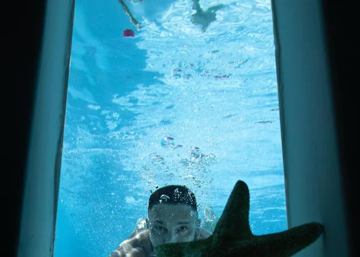 Eyeonsunset -private Pool-sea And Sunset View-privacy-quiete Agios Stefanos (Mykonos)